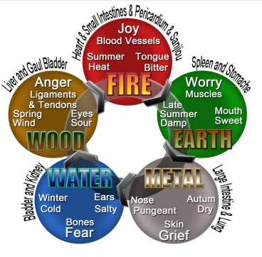 RELATIONSHIP BET. FIVE ELEMENTS