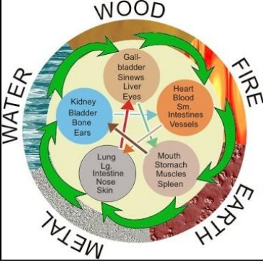 CHINESE FIVE ELEMENT THEORY