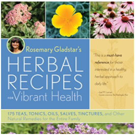 VIBRANT HEALTH RECIPES 