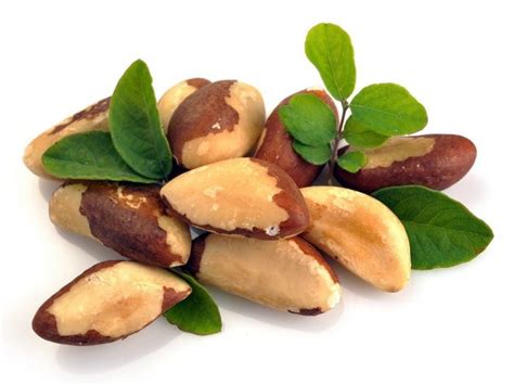 BRAZIL NUT