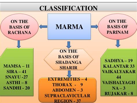 CLASSIFICATION OF MARMAS